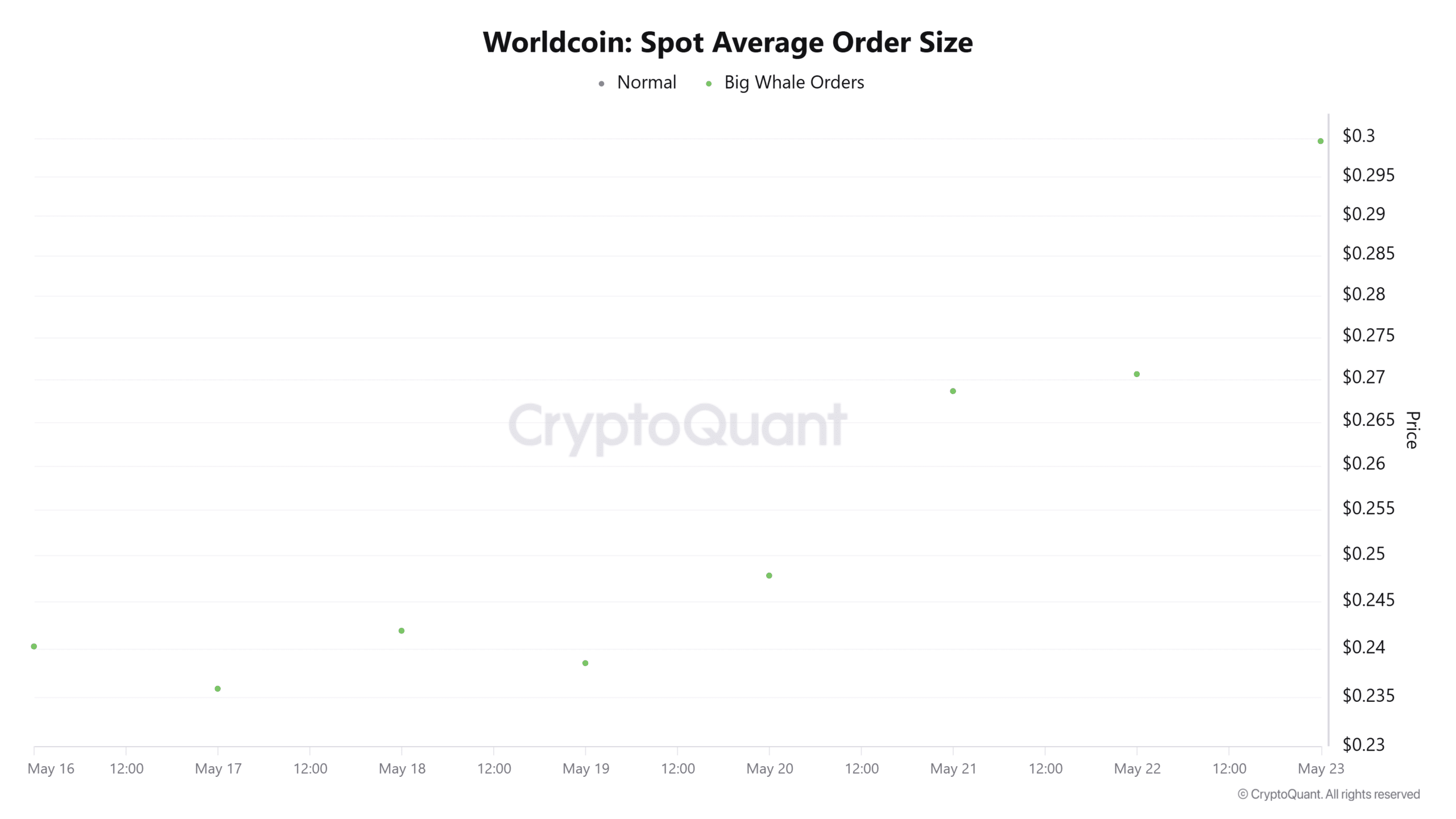 Worldcoin spot average order size