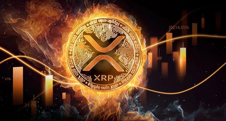 XRP Price Mirrors Amazon Style Growth Pattern, Analyst Says
