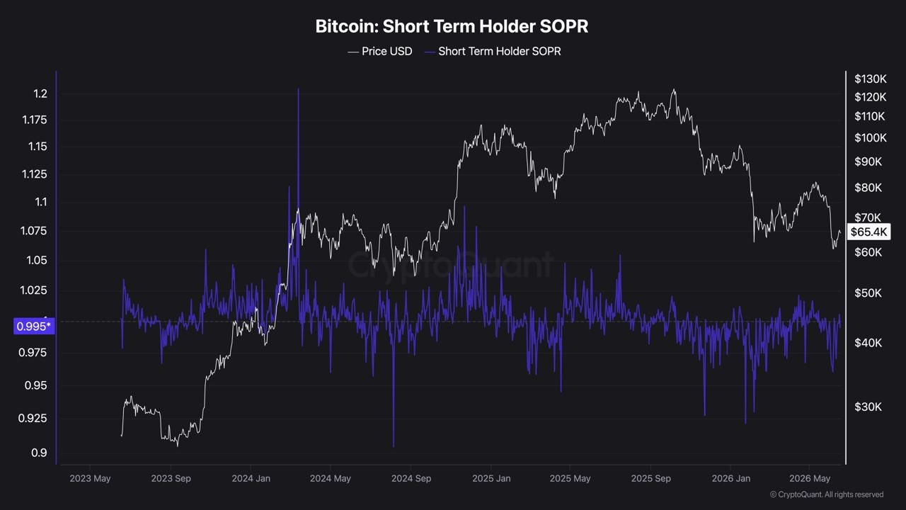 Chart for Bitcoin Short Term Holder SOPR data from CryptoQuant, analyzed by coindoo.com team