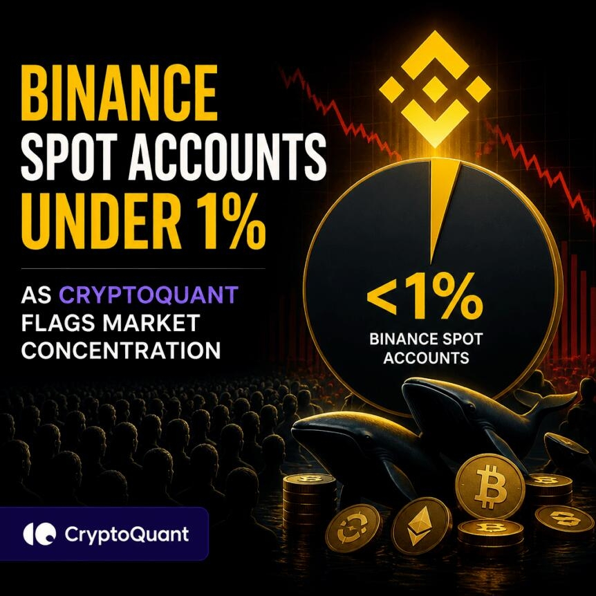 Binance Spot Accounts Under 1% As Cryptoquant Flags Market Concentration