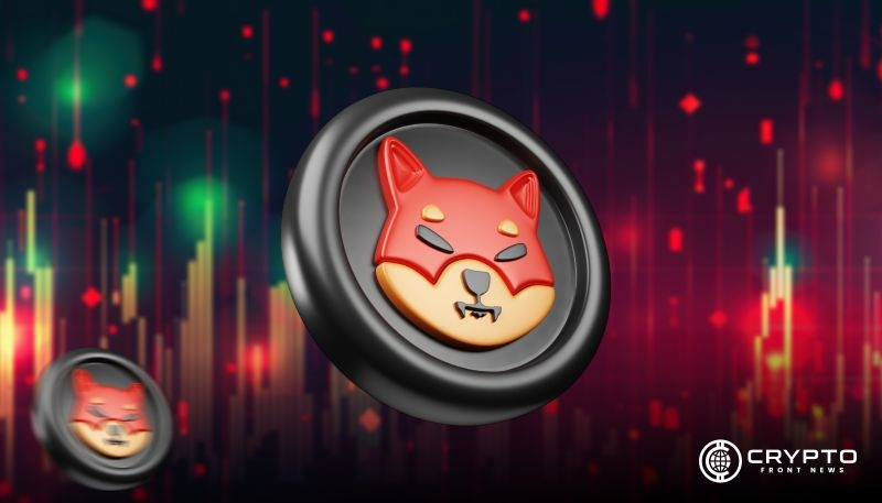 Shiba Inu CFN