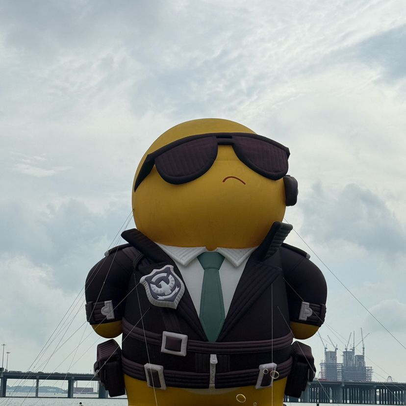 $Q Fuck your mother, did someone in your family die? | 景阳冈许嵩 on Binance ...