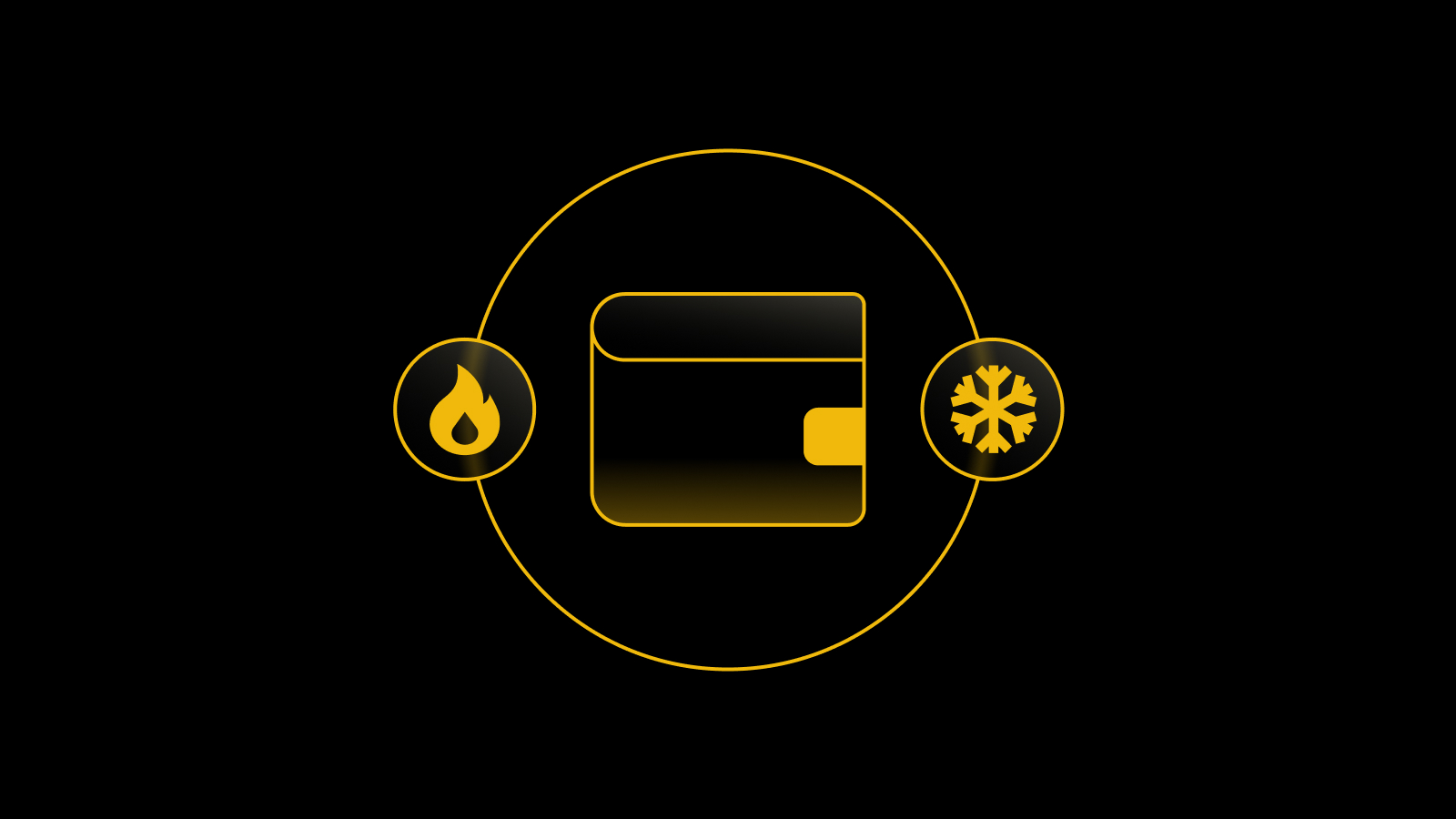 Hot vs. Cold Wallet: Which Crypto Wallet Should You Use?