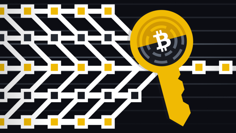 シュノア署名はビットコインにとって何を意味するのか？