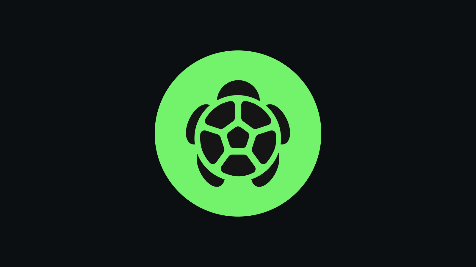 What Is Turtle (TURTLE)?