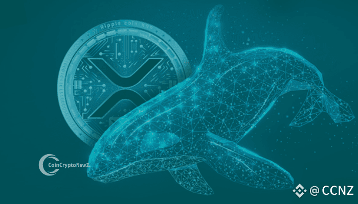 Whale Frenzy: 900 Million $XRP Scooped Up in 48 Hours Signals Potential Surge