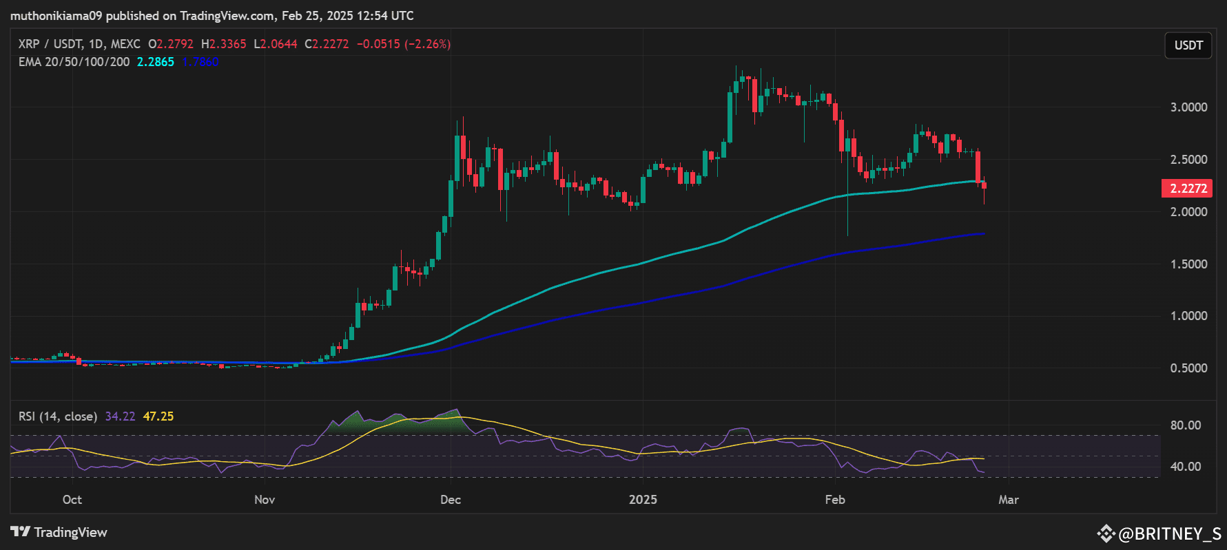 Could XRP Price Hit $1,000 if Elon Uses Ripple for US National Debt  Repayment? | VOLATILITY KING on Binance Square