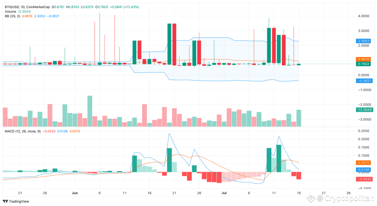Bitcoin Gold price prediction 2025-2031: Is BTG a good investment? |  Cryptopolitan on Binance Square