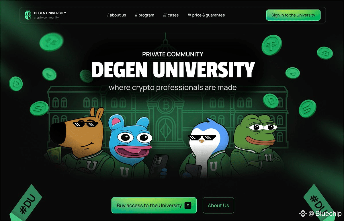 NEW BIGGEST MEMESEASON IS ALREADY STARTED! | Bluechip på Binance Square