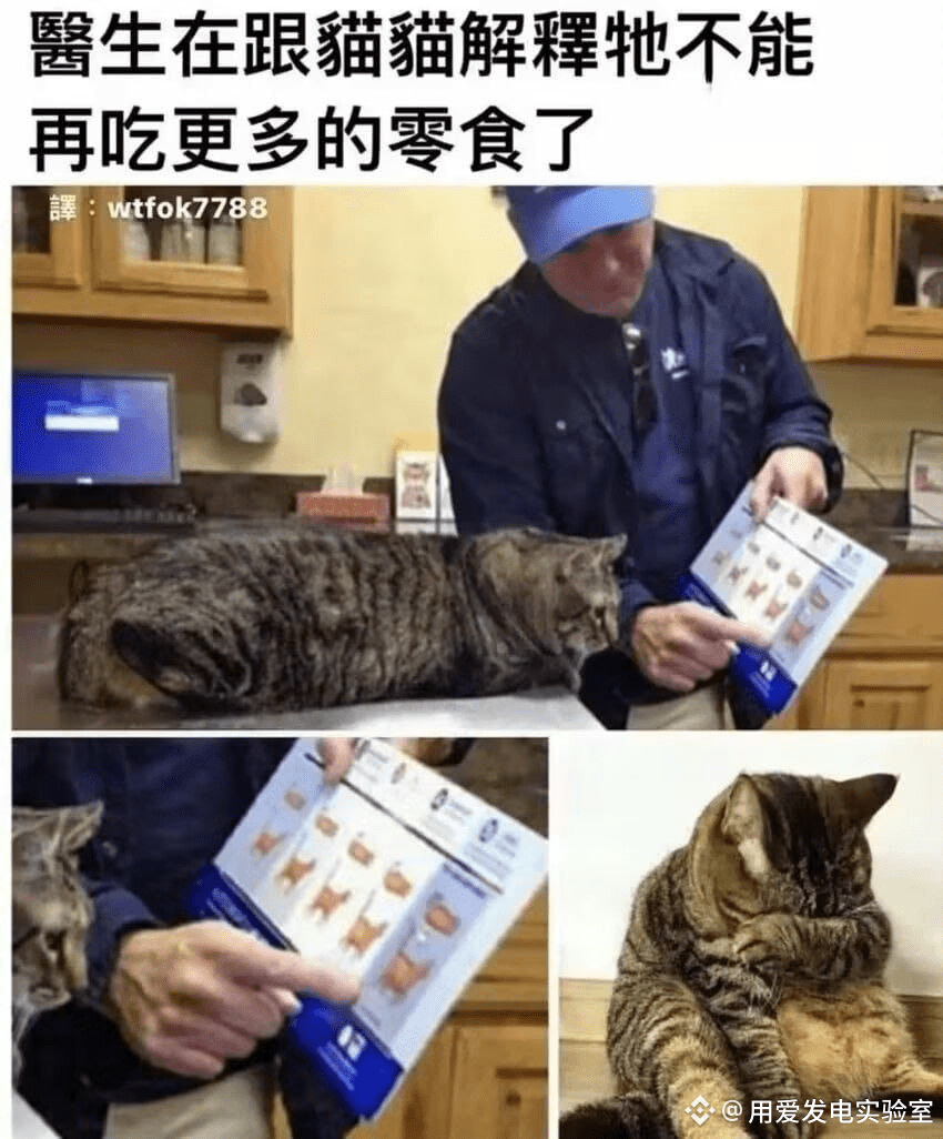 2025.11.10热点新闻： 1、比特币成功收盘于50周简单移动平均线之上。 2、以太坊市值4400亿美元，1%全球资| 用爱发电实验室ONE  على Binance Square