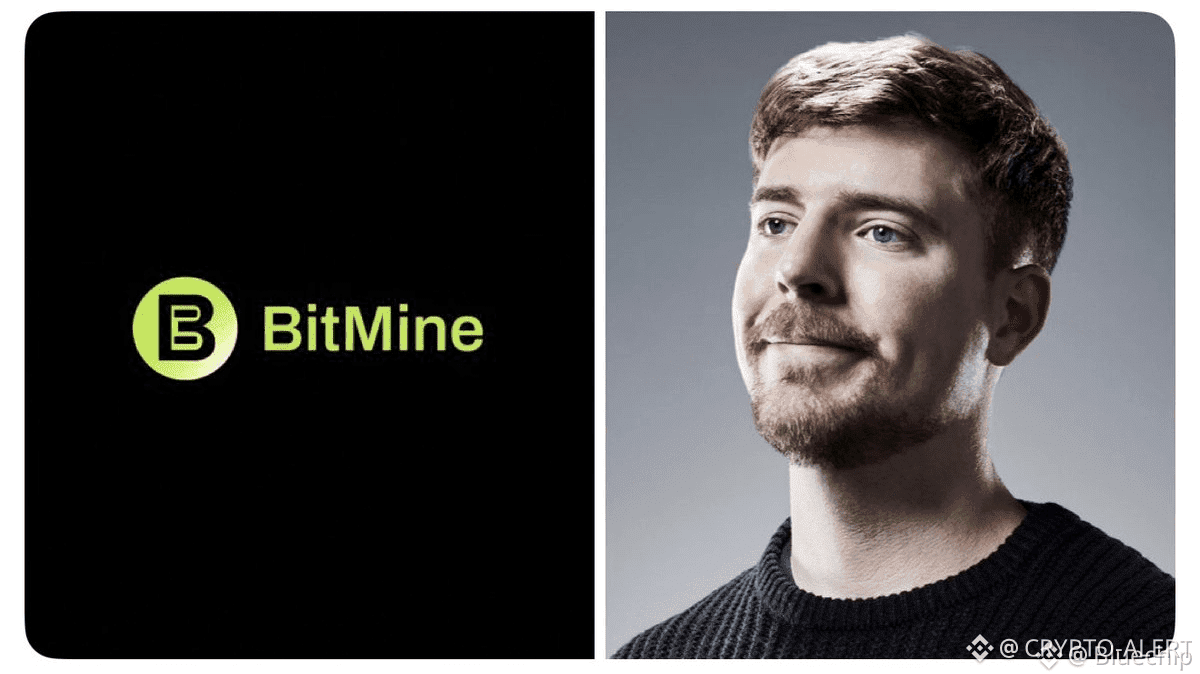 Últimas noticias, opiniones y publicaciones sobre #mrbeast | Binance Square