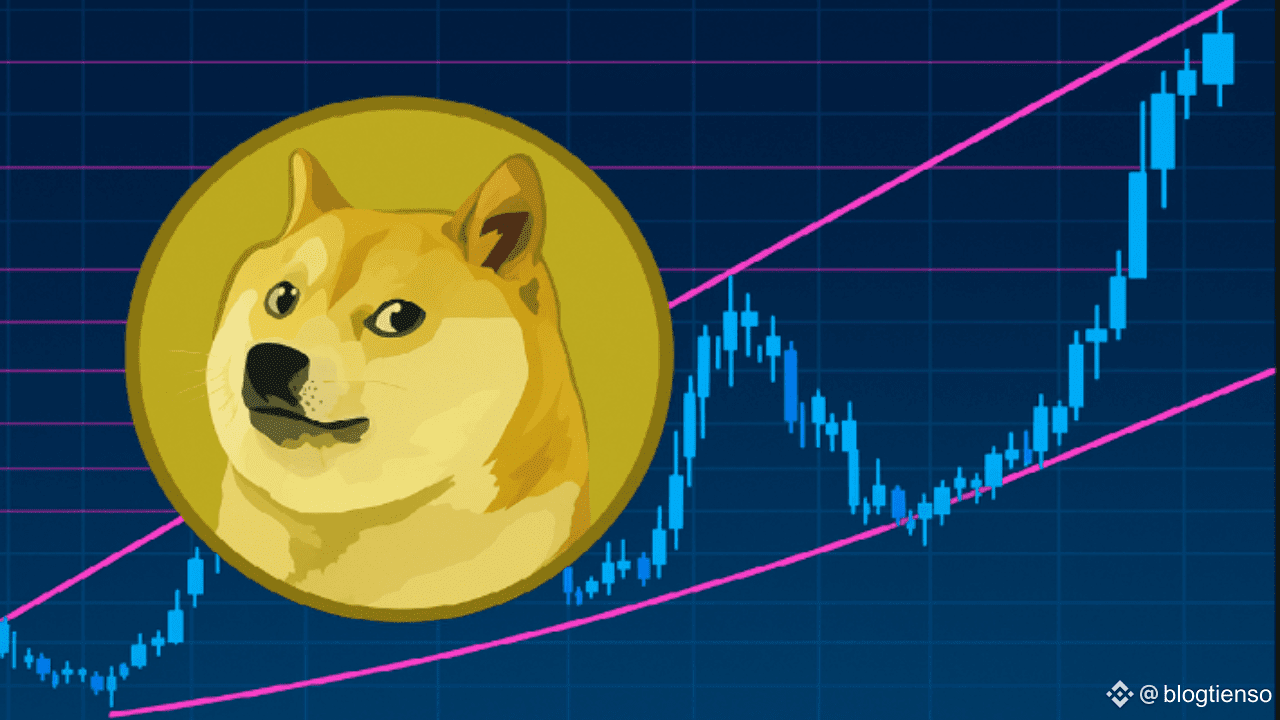 Dogecoin Aims for $1.6 as Historical Fractal Repeats: Analyst | blogtienso  on Binance Square