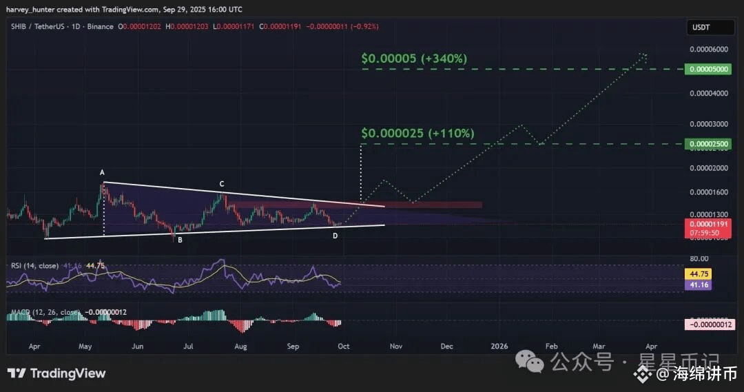 SHIB / USDT 1 日图，对称三角形接近顶点。资料来源：TradingView。
