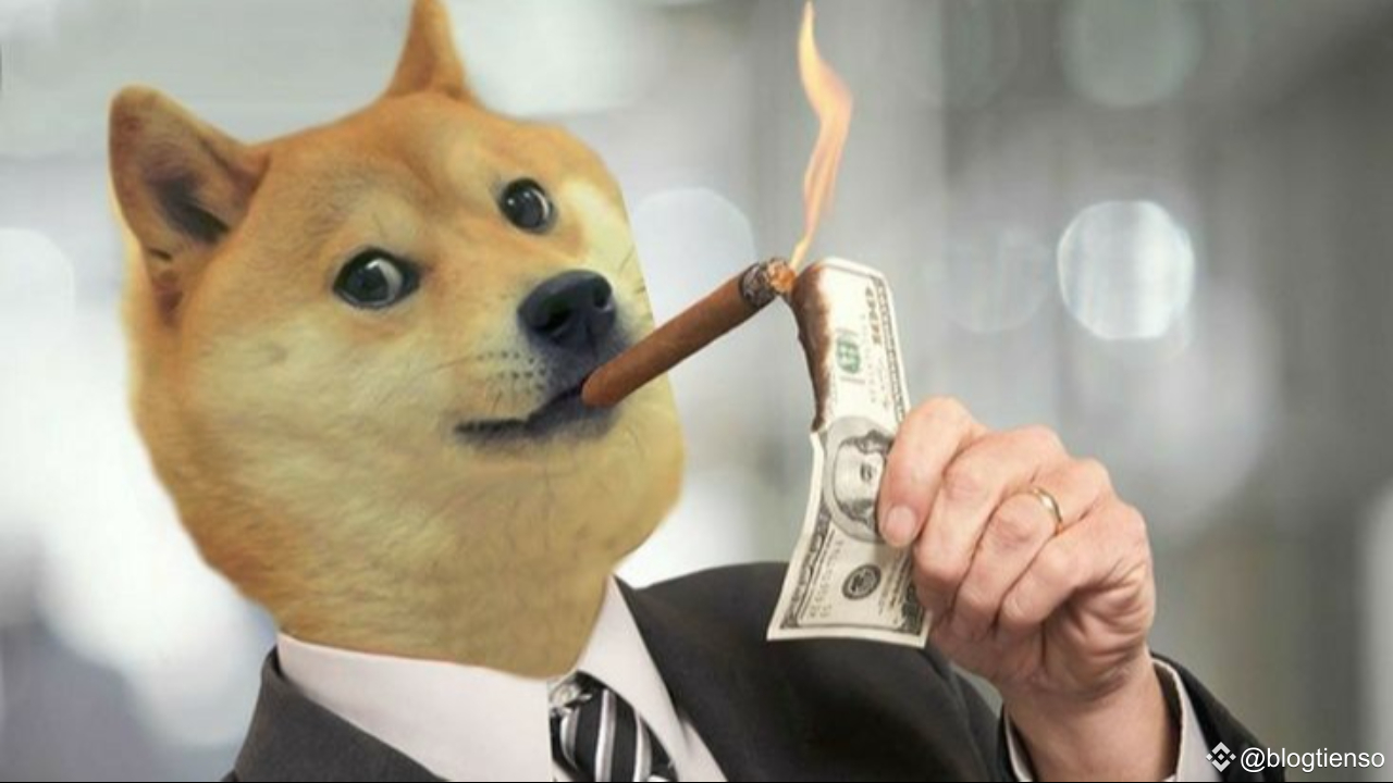 如何通過狗狗幣每天賺100 美元：初學者指南| 幣安廣場上的blogtienso