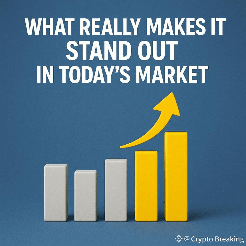What Really Makes It Stand Out In Today’s Market