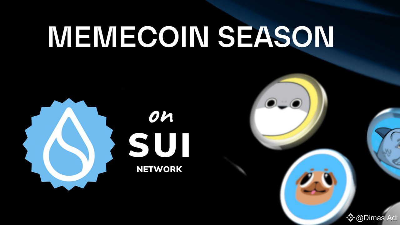 Sui: A New Chapter in the Memecoin Trend | Dimas Adi on Binance Square