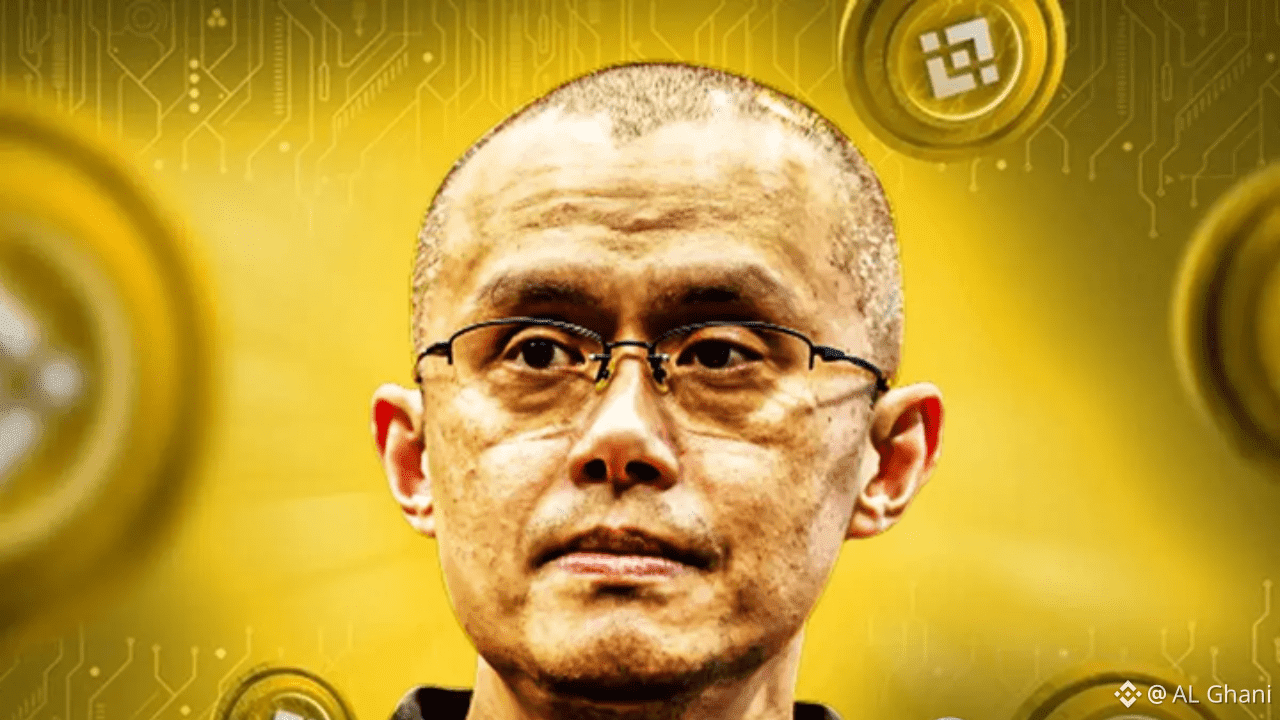 Solana Price Performance Under Risk, 