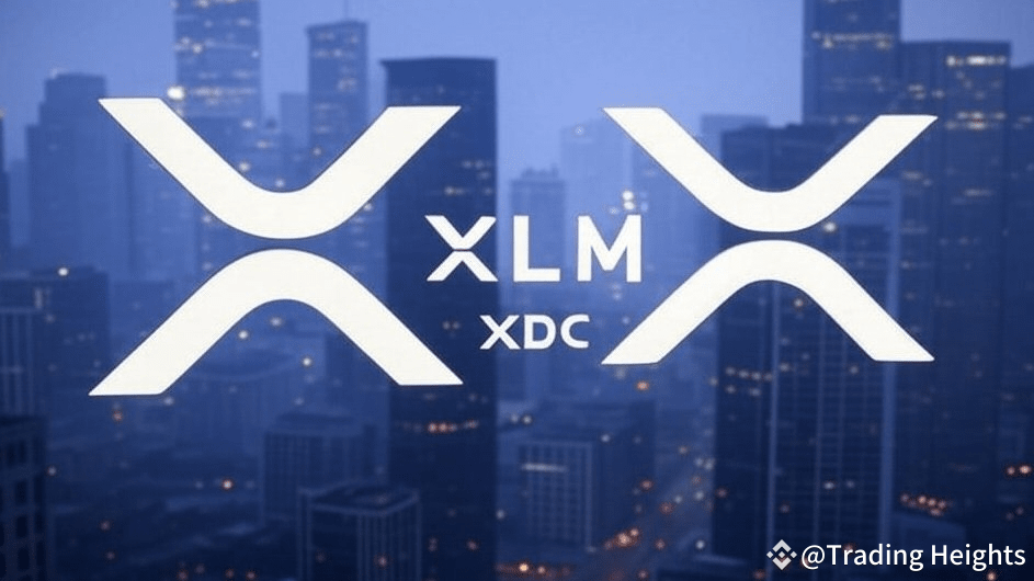 🚀 Understanding the Roles of XRP, XLM, and XDC Trading Heights on