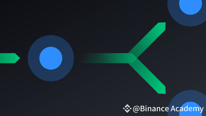 DAG avec plusieurs branches