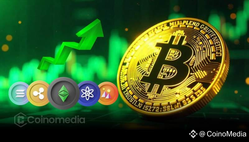 Altseason Incoming? Bitcoin Dominance Drops to 59%