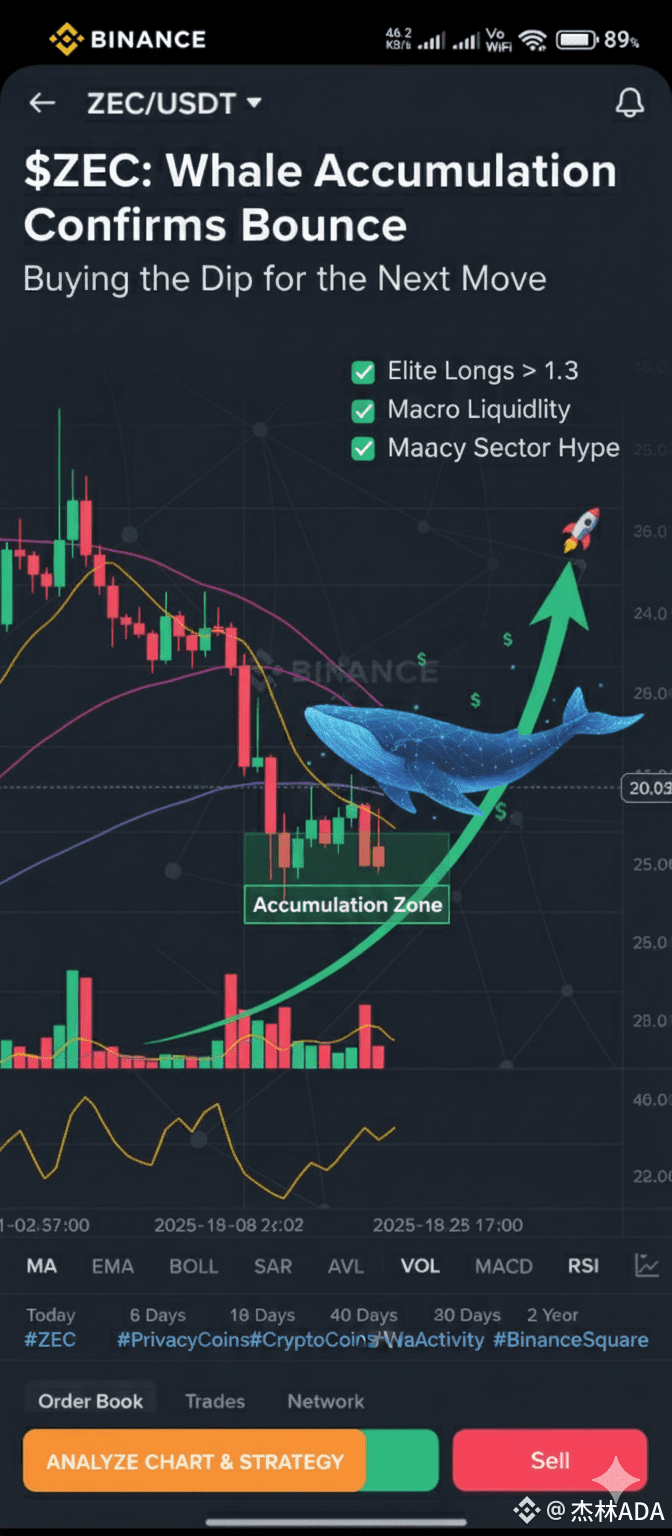 📢 $ZEC : Whale Accumulation Confirms the Bounce is | 杰林ADA on Binance  Square