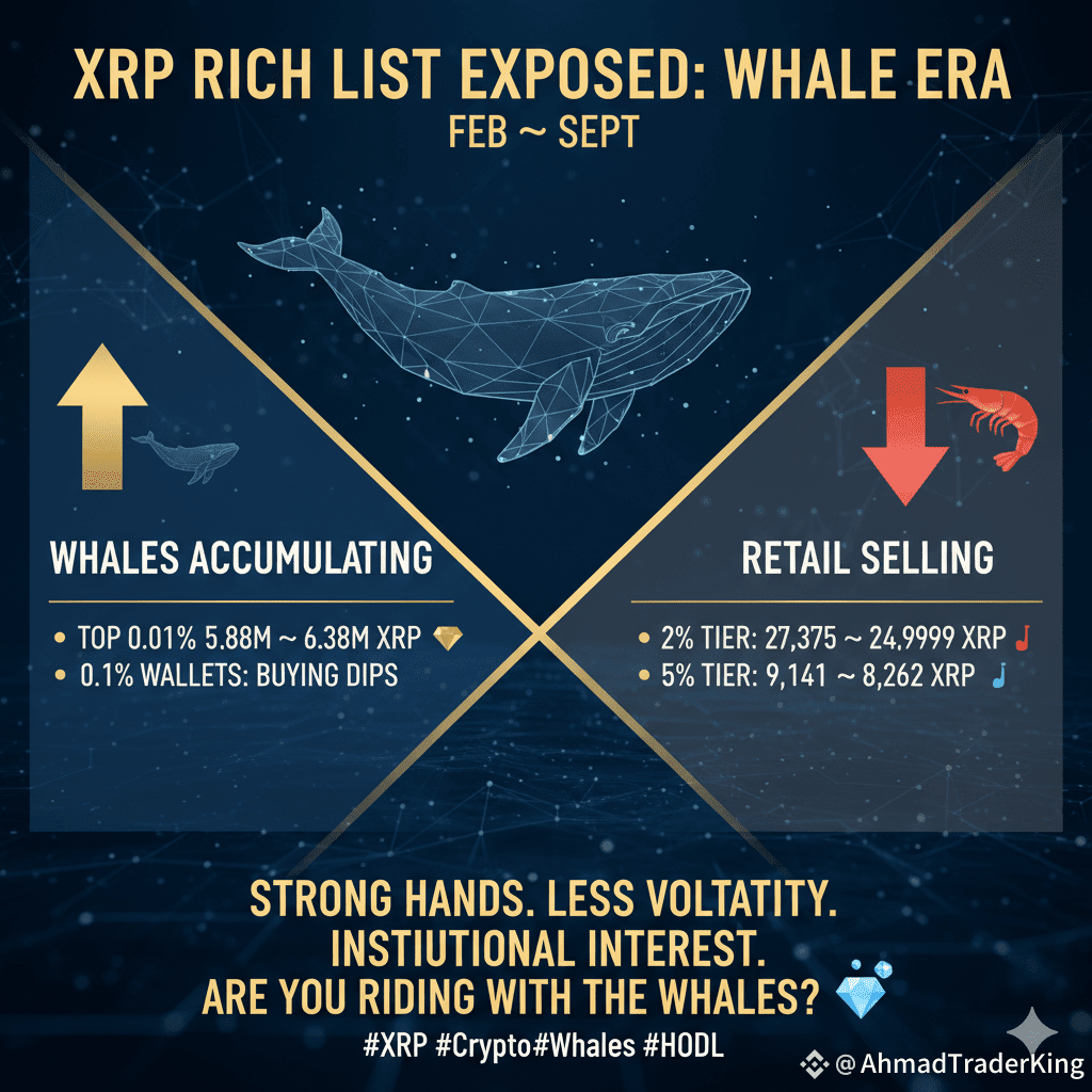 💸🐳 $XRP Rich List Just Exposed the Whales 😳🚀 Fam, the | AhmadTraderKing  on Binance Square