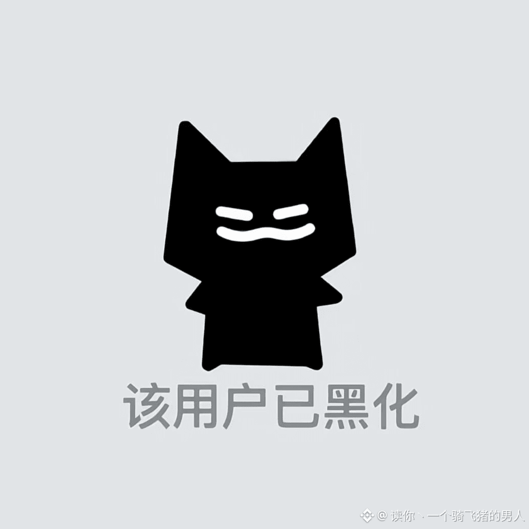 读你丶一个骑飞猪的男人的个人资料| 币安广场
