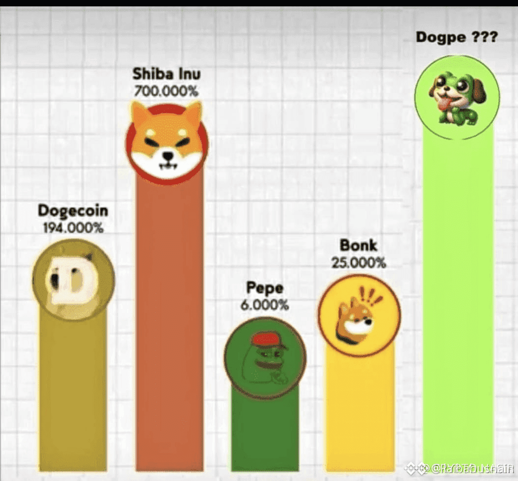💥 表情幣傳奇💥 🚀 $SHIB (柴犬幣): +700,000% 🔥 🐕 $DOGE (狗狗幣): +19 | 幣 安廣場上的laibahusnain