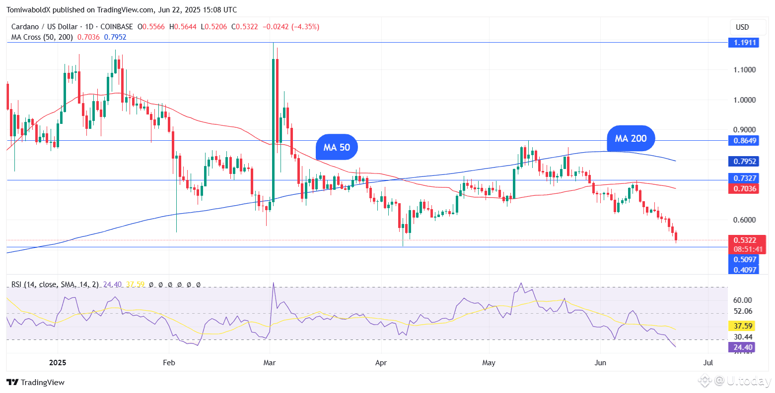 TradingView