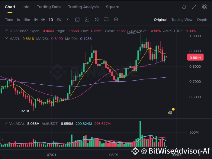 🇺🇸BTC-SISTEMI: Progetti di criptovalute con il maggior numero di utenti attivi settimanali: NEAR Protocol e BNB Chain in testa