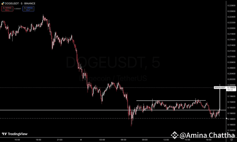 $DOGE followed the script to perfection! It hit both targets | Amina ...