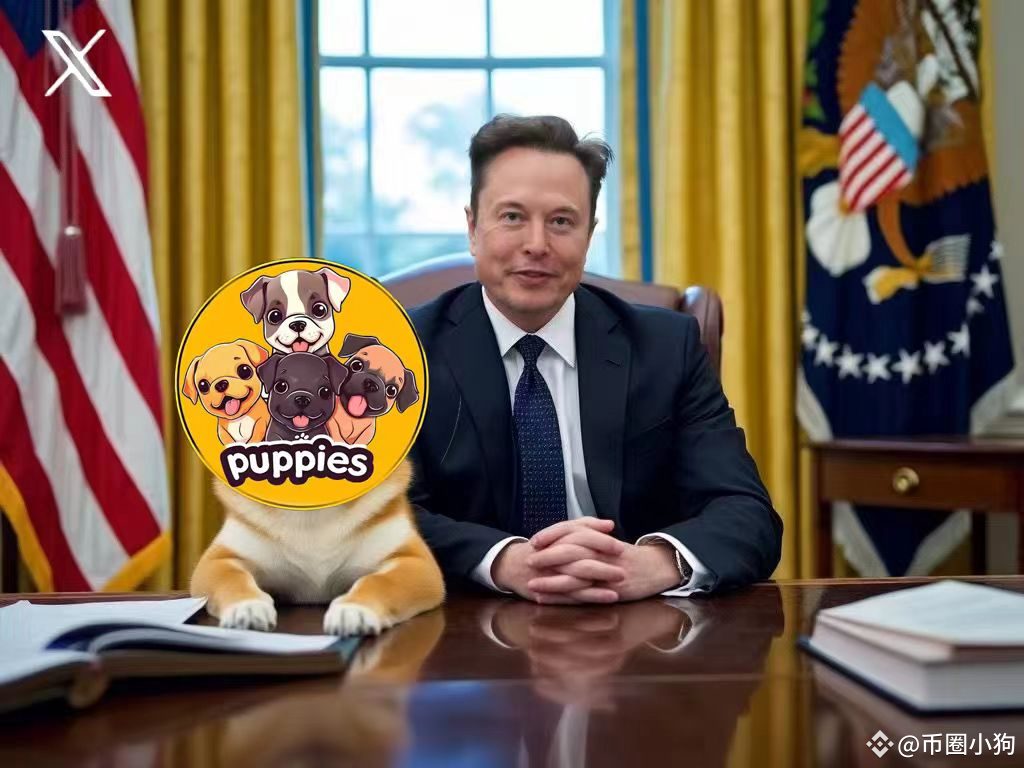 马斯克小狗Puppies，这一名词在加密货币领域和社交媒体上引发了广泛关注。以下是对马斯克小狗Puppies的详细解读： | 玲珑小帅发布于币安广场