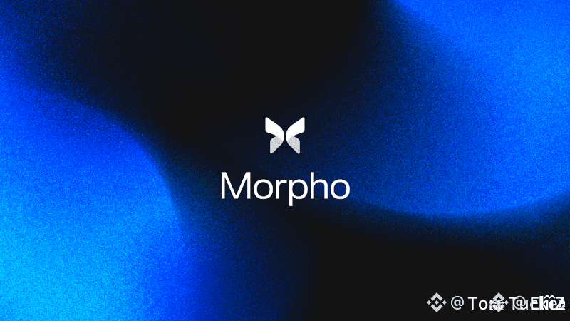 Morpho: Bringing Simplicity and Scale to DeFi | ElîîZ on Binance Square