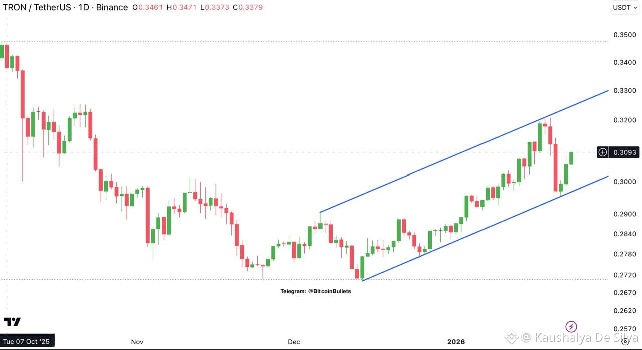 What is Binance? A Simple Guide | Kaushalya De Silva on Binance Square