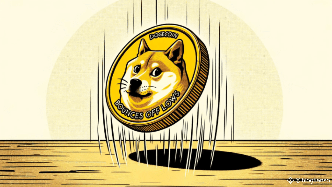 Dogecoin: The Number of Holders Soars to All-Time Highs | blogtienso on  Binance Square
