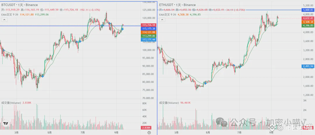 18号降息见真章！是最后一跌，还是山寨冲顶？狗狗ETF+财库双重加持，PEPE、SOL齐起飞，山寨20%起步？