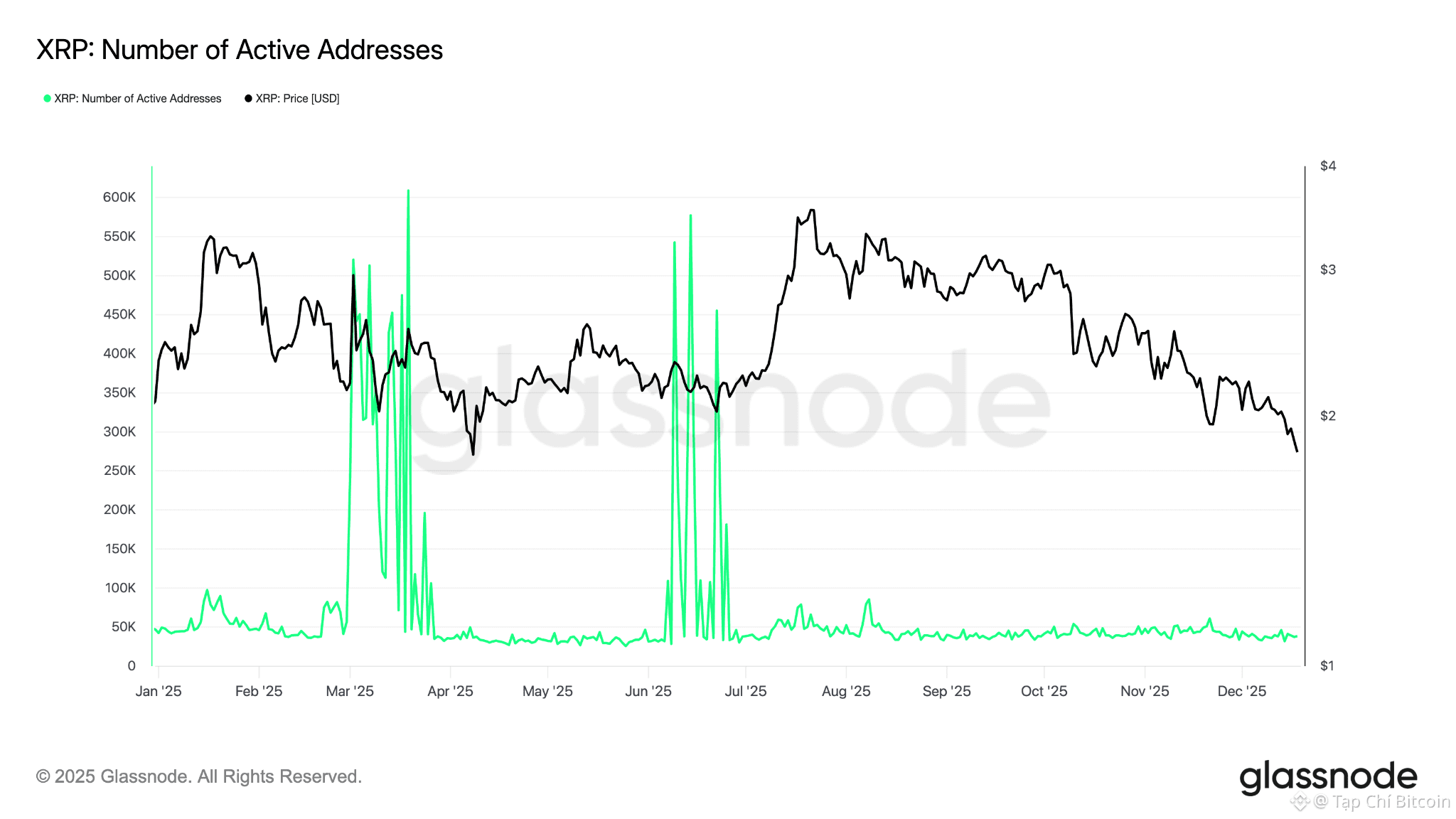 Cộng đồng XRP đã có được mọi thứ trừ mức giá 5 đô la: Liệu năm 2026 có mang lại điều đó?<br />