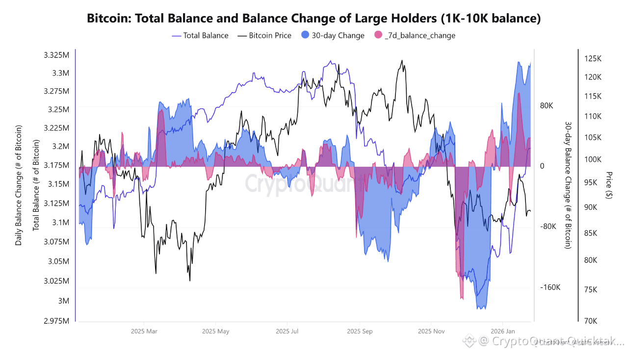 ビットコインのクジラのポジショニングは、分配フェーズ後の再蓄積の初期兆候を示しています | CryptoQuant Quicktake －  Binance Square