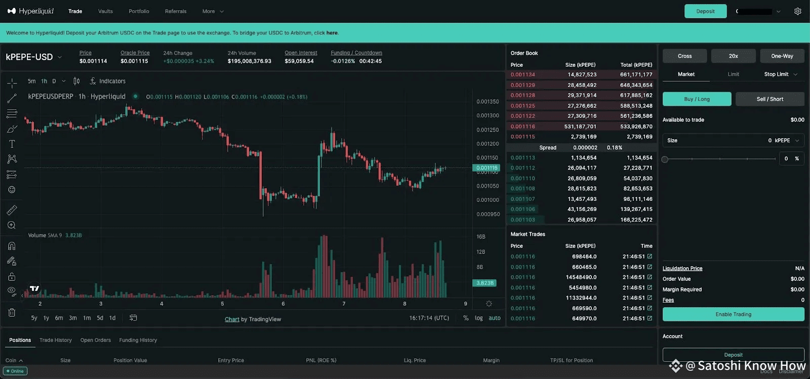 What Is Hyperliquid (HYPE) Crypto And How Does It Work? Everything You Need  To Know | Satoshi Know How on Binance Square