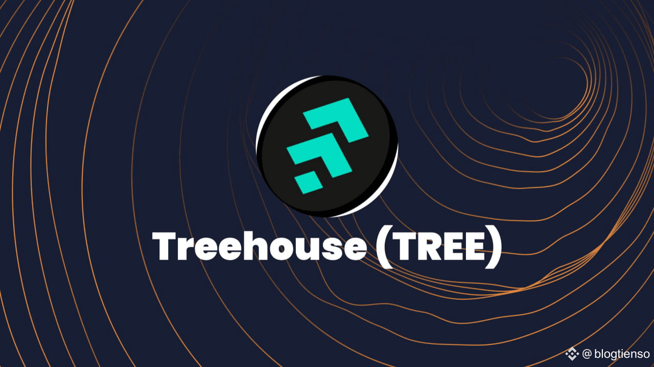 Treehouse: A Bridge Between Traditional Finance and Blockchain in the Fixed  Income Field | blogtienso on Binance Square