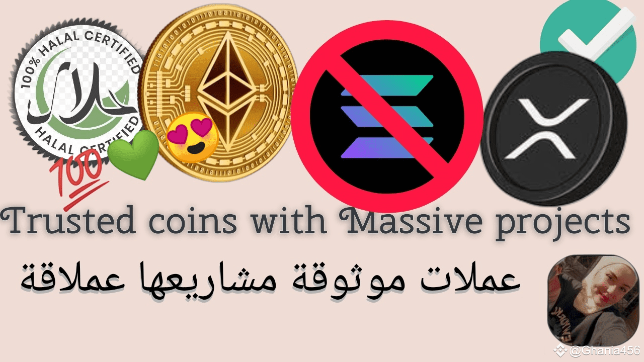 The most famous permissible currencies 💚✓🔥💯 Its projects are strong 💪  Good investment 💰💙 Halal 🤲 💟 Low risk ⚡ Halal crypto | 我的爱人- HABIBI on  Binance Square