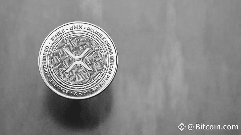 Bitso Report: XRP Rises as Dark Horse in Latam Portfolios