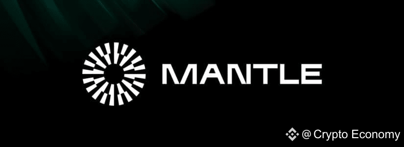 What is Mantle Network?
