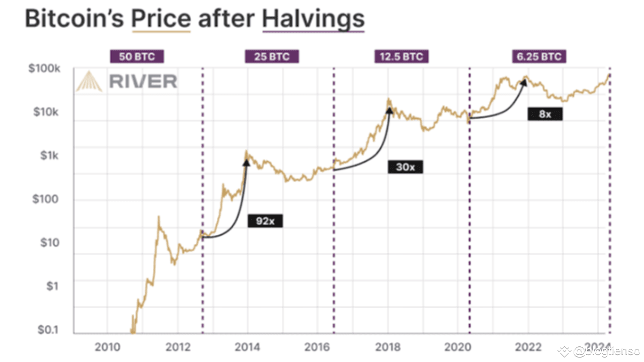 A Look Back at Bitcoin Halving Events and What to Expect in 2025 |  blogtienso on Binance Square