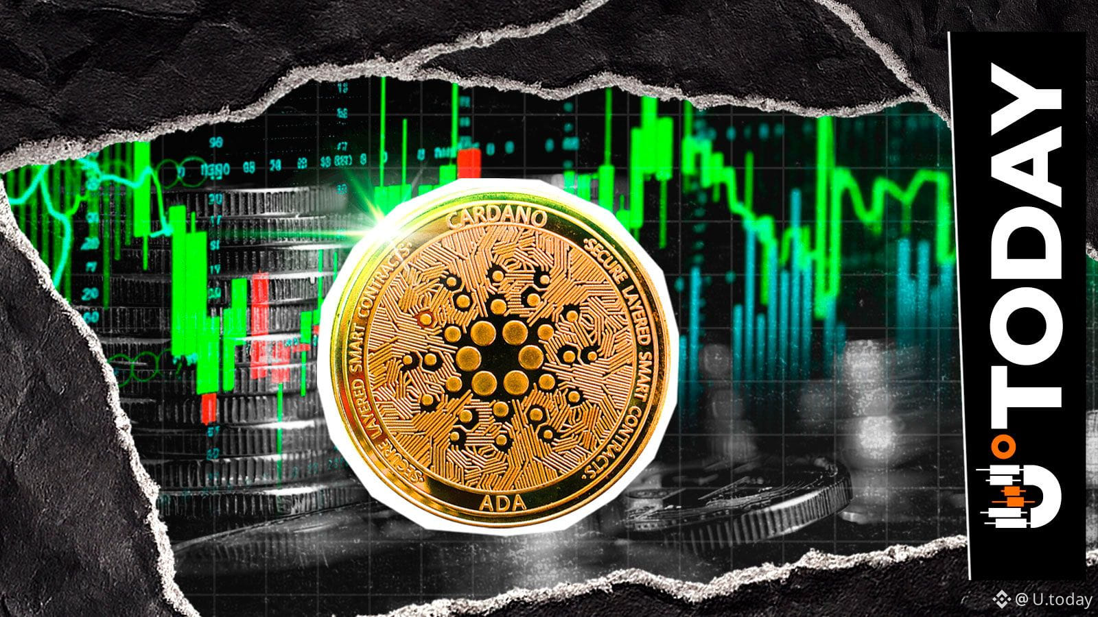 Cardano Volume Rockets 72%, Sets New 2026 Price Record | U.today on Binance  Square