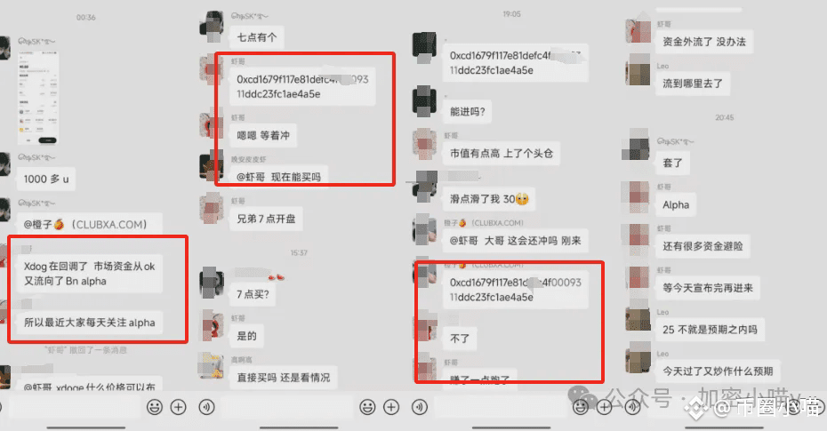 决战降息夜？比特币暴涨还是血洗？巨鲸80亿狂扫DOGE，币安系全线异动！山寨要稳不住了？代币全攻略来了