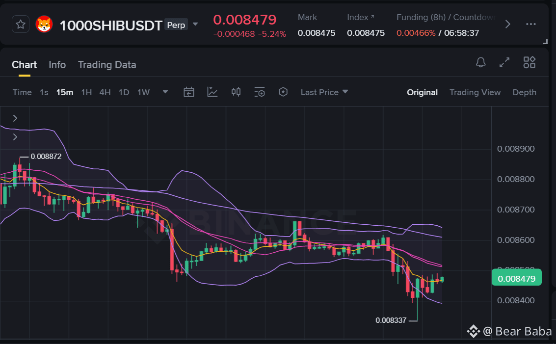 Latest #1000shib News, Opinions and Feed Today | Binance Square