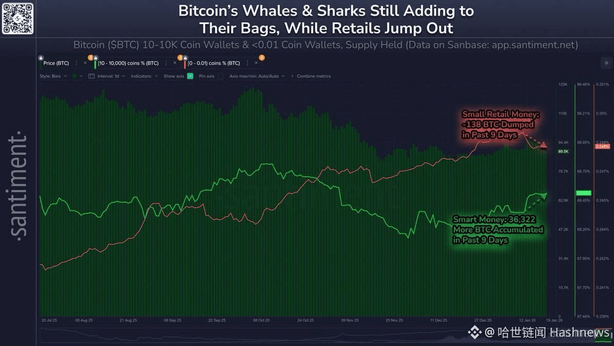 巨鲸操作（Whale Movements Alert） 比特币回落至89,400美元<->深度分析：由于黄金和白银的上| 哈世链闻Hashnews  على Binance Square