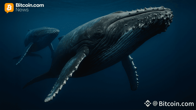 Cryptoquant: Large Holders Step Back, Bitcoin Regains Short-Term Strength