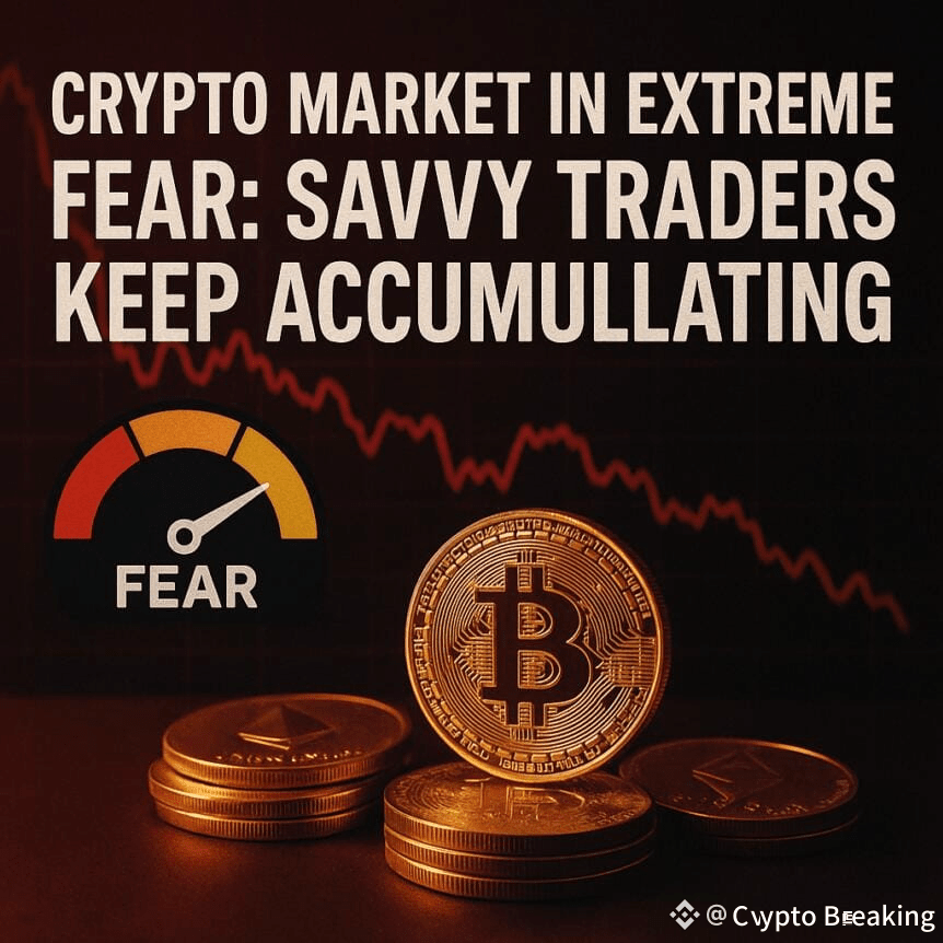 Crypto Market In Extreme Fear: Savvy Traders Keep Accumulating